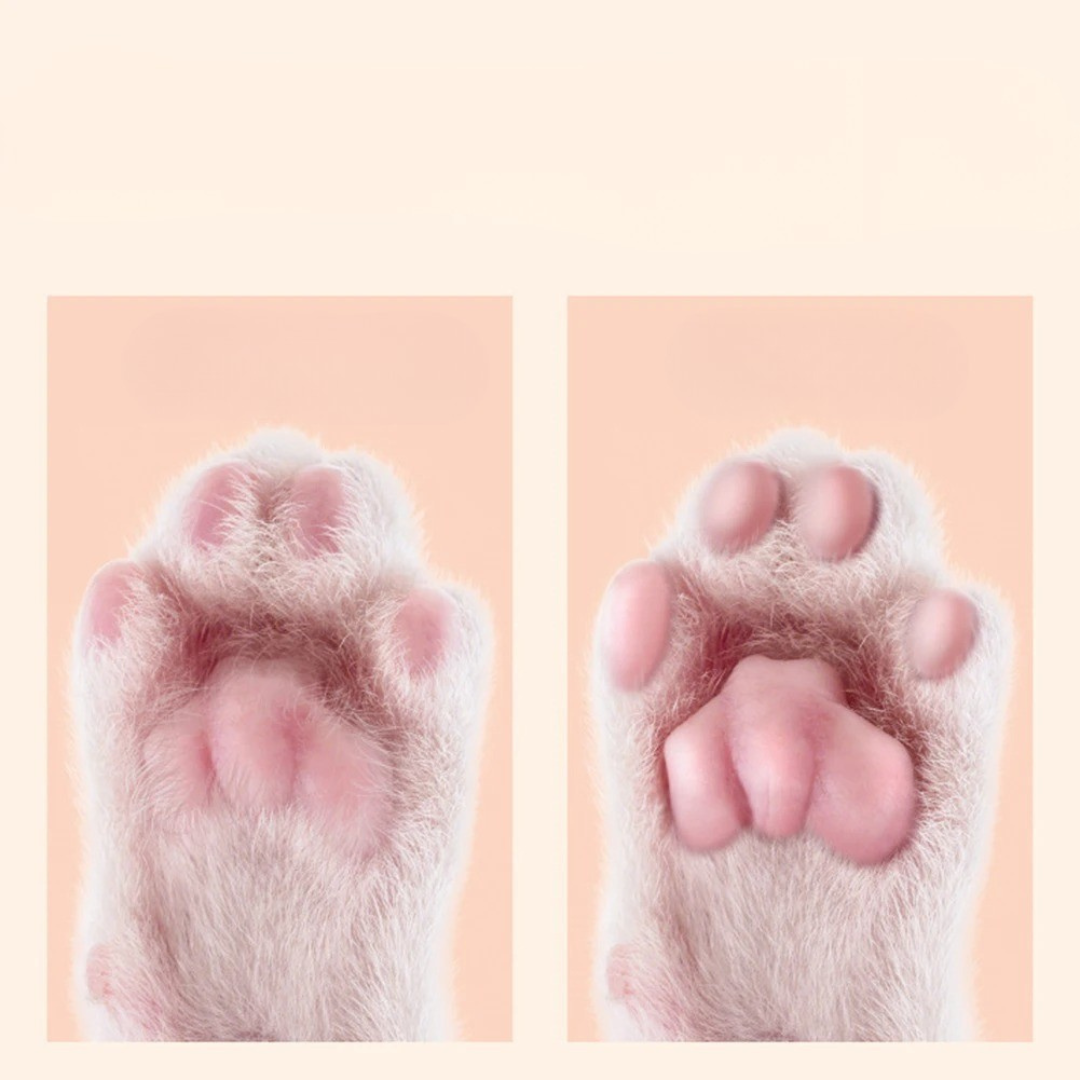 PawTrim Pro – Leiser Pfotentrimmer mit LED-Licht für präzises Grooming