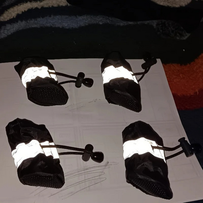 StepGuard – Rutschfeste Hundeschuhe mit Pfotenschutz